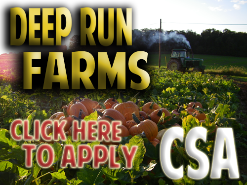 CSA Maryland, wholesale vegetable prices, community supported agriculture Maryland, baltimore csa, csa store, consumer supported agriculture