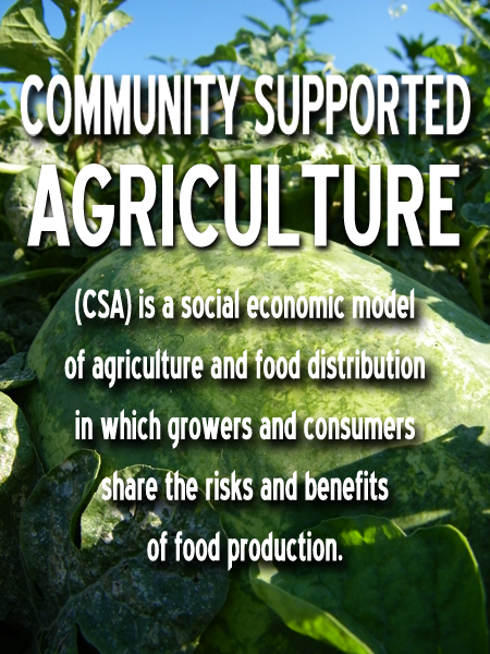 Sign up for a CSA Program in Maryland, Hampstead, Westminster, New Windsor, Taneytown, Frederick, Mt Airy