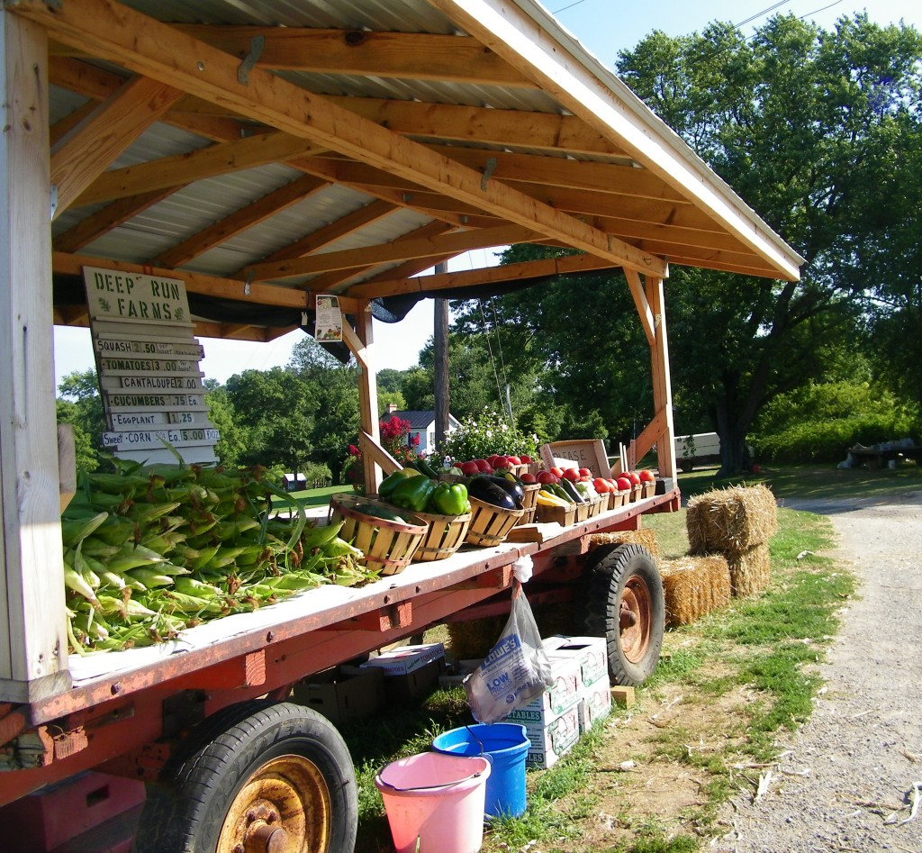Deep Run Farms in Hampstead, Maryland, wholesale produce, roadside