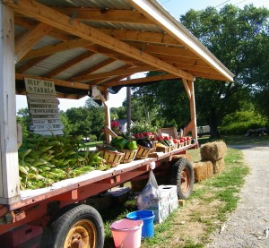farms foods, produce markets, box of vegetables, community farming, vegetable delivery, local farms, eat local, wholesale food distributors, produce wholesale