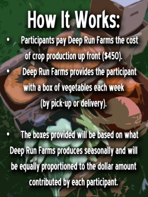 community supported agriculture, wholesale produce hampstead, vegetable box Maryland, making local food work, organic farming, csa Baltimore, csa maryland csa Maryland, organic farms Maryland, community supported agriculture Maryland, community supported agriculture Virginia, pumpkin patch Maryland, wholesale vegetable prices