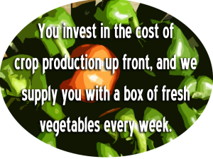 community sustainable agriculture, organic farm share, produce wholesalers, produce wholesalers, community support agriculture, produce distributors, csa produce