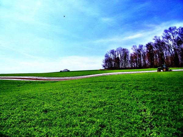 consumer supported agriculture, Hampstead local farms, Emmitsburg, Taneytown, Baltimore, MD farms, wholesale produce, Pikesville, Carroll County, Hagerstown, Washington DC