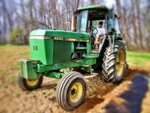 ommunity supported agriculture, wholesale produce hampstead, vegetable box Maryland, making local food work, organic farming, csa Baltimore, csa maryland community supported agriculture Maryland, baltimore csa, csa store, consumer, supported agriculture, csa listings, consumer supported agriculture, wholesale produce