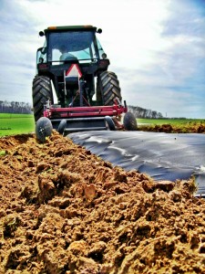 consumer supported agriculture, Hampstead, Carroll County, Frederick County, Baltimore County wholesale vegetables, Community-Supported Agriculture, Westminster, New Windsor