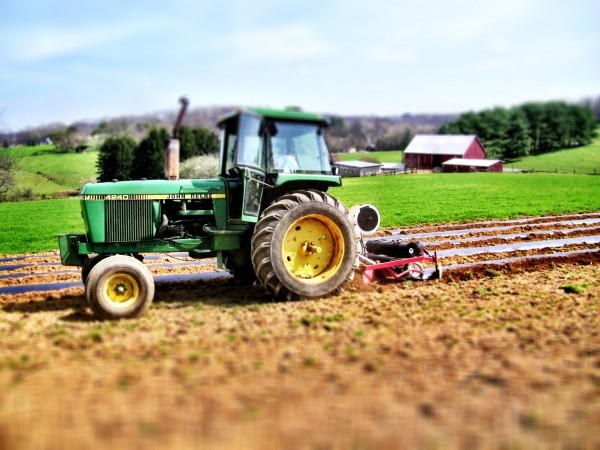 wholesale vegetable prices, Hampstead, Carroll County, Frederick County, Baltimore County wholesale vegetables, Community-Supported Agriculture, Westminster, New Windsor